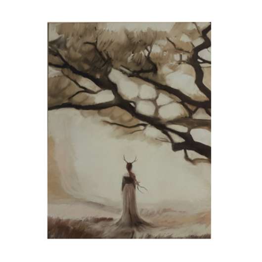  Lady Willow  50 x 70 cm Mrs Mighetto 