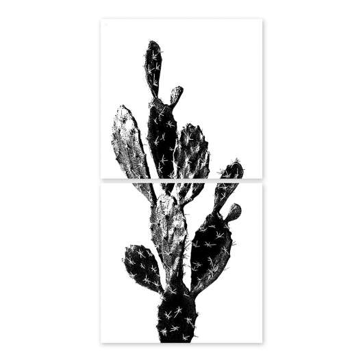 Boubouki - Kakeldekor Kaktus 15x15 cm 2-pack Transparent