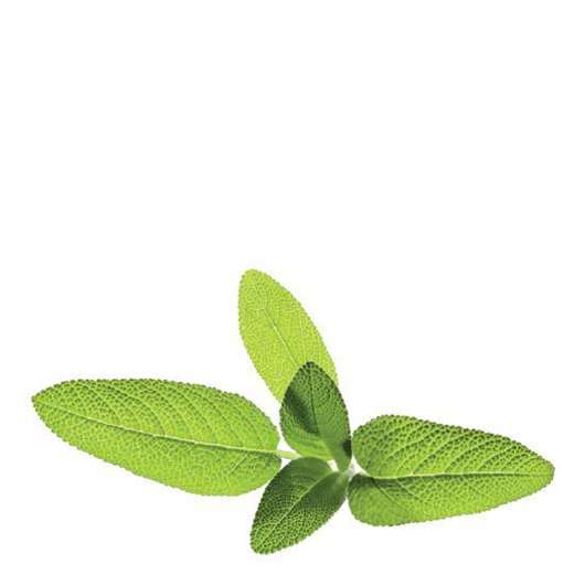 Click and Grow - Smart Garden Växtkapsel refill 3-pack Salvia