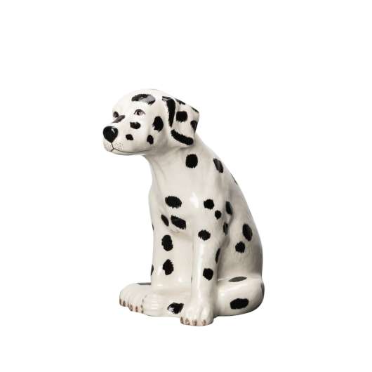 Dalmatin Pongo porslinshund, ByON