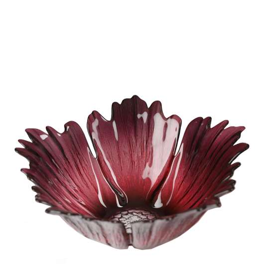 Målerås Glasbruk - Fleur Skål 19 cm Röd