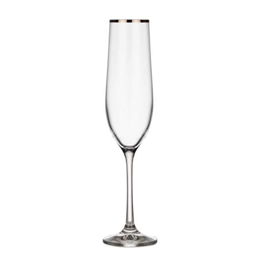 Romance Champagneglas 19 cl Silver