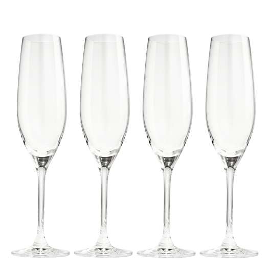 Rumours Champagneglas 20 cl 4-pack